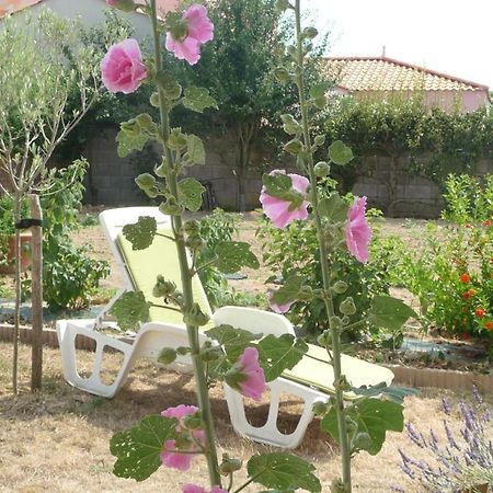Chambre D'Hote Fleur De Potager เลส์ซาบล์-โดล็อนน์ ภายนอก รูปภาพ