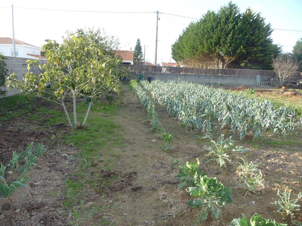 Chambre D'Hote Fleur De Potager เลส์ซาบล์-โดล็อนน์ ภายนอก รูปภาพ